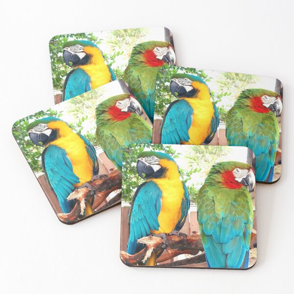 Item preview, A Parrot meeting designed and sold by Melissaocke.