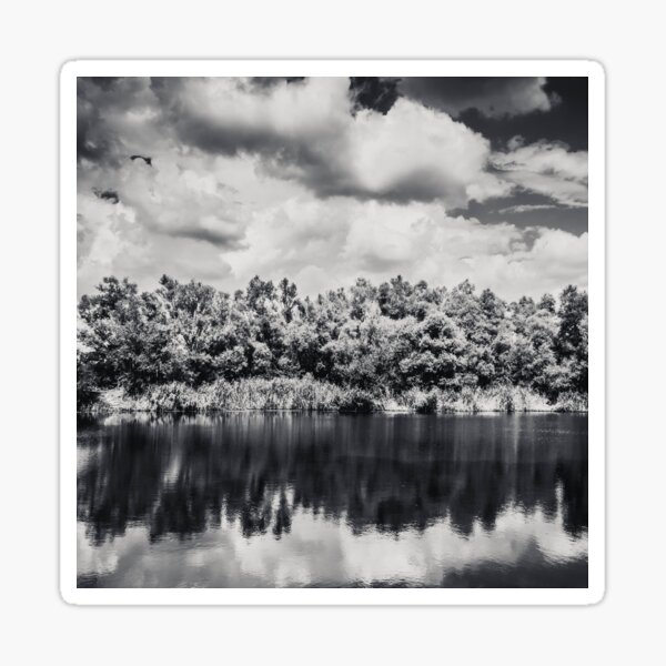 Nature black and white photography Sticker