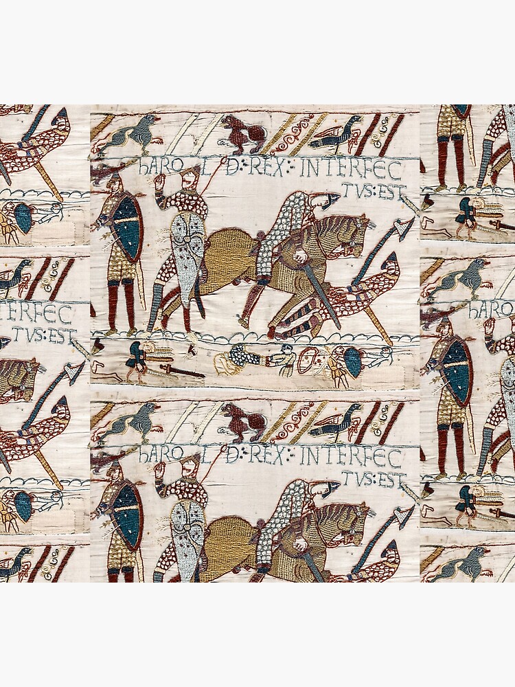 Bayeux Tapestry. King Harold is killed. Arrow in eye. by TOMSREDBUBBLE
