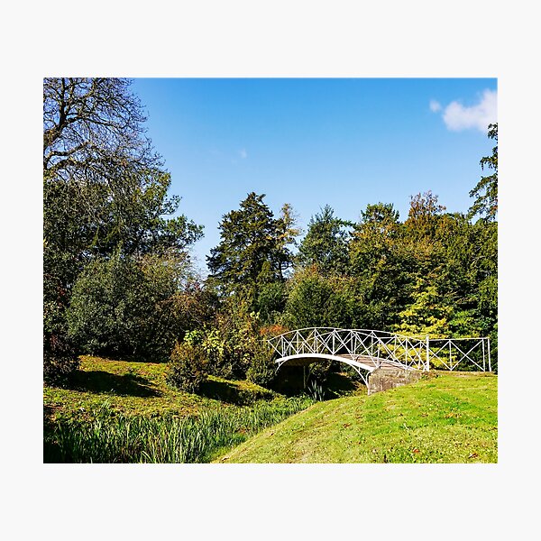 Croome Park Landscape Photographic Print
