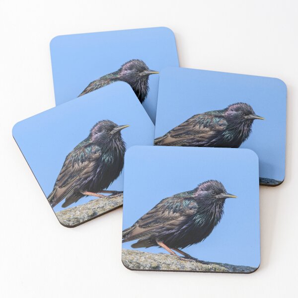 Item preview, Starling  designed and sold by chris2766.