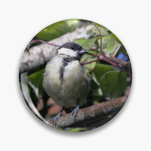 Item preview, r1351/  new finition 2021  Birds  05 b (c)(t) by Olao-Olavia / Okaio Créations  designed and sold by o.okaïo.