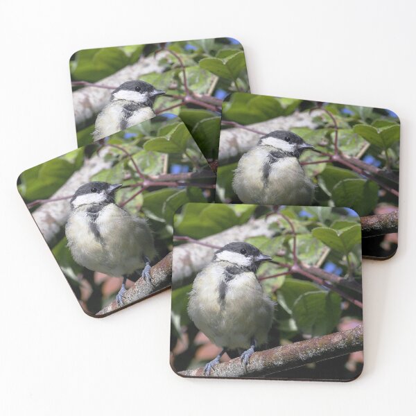Item preview, r1351/  new finition 2021  Birds  05 b (c)(t) by Olao-Olavia / Okaio Créations  designed and sold by o.okaïo.
