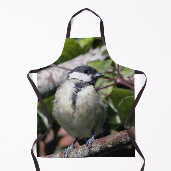 Item preview, r1351/ new finition 2021 Birds 05 b (c)(t) by Olao-Olavia / Okaio Créations designed and sold by o.okaïo.