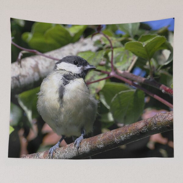 Item preview, r1351/  new finition 2021  Birds  05 b (c)(t) by Olao-Olavia / Okaio Créations  designed and sold by o.okaïo.