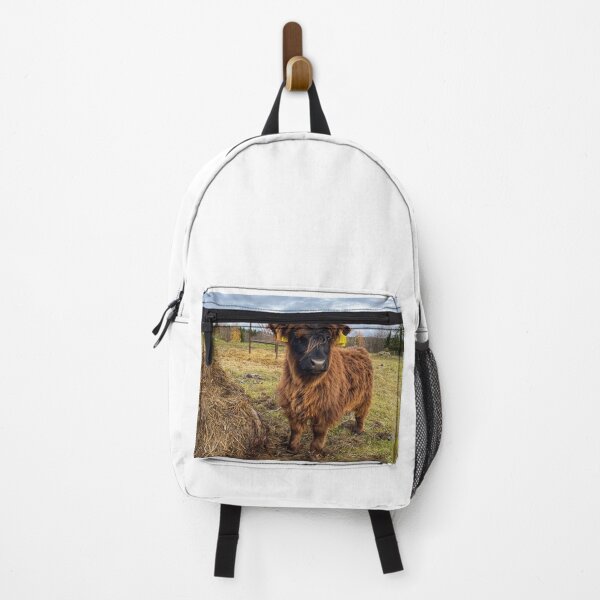 Item preview, Scottish Highland Cattle Calf 2576 designed and sold by SaarelaHighland.