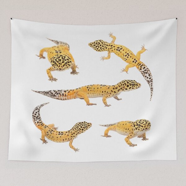 Item preview, Elvis The Leopard Gecko designed and sold by Gawrit.