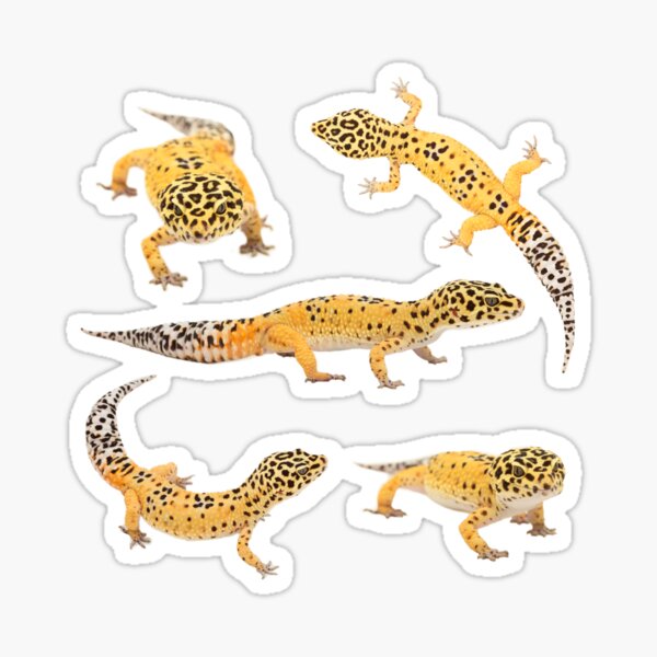 Item preview, Elvis The Leopard Gecko designed and sold by Gawrit.