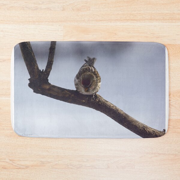 Item preview, Red Pol on a Branch designed and sold by Vivar Photo.