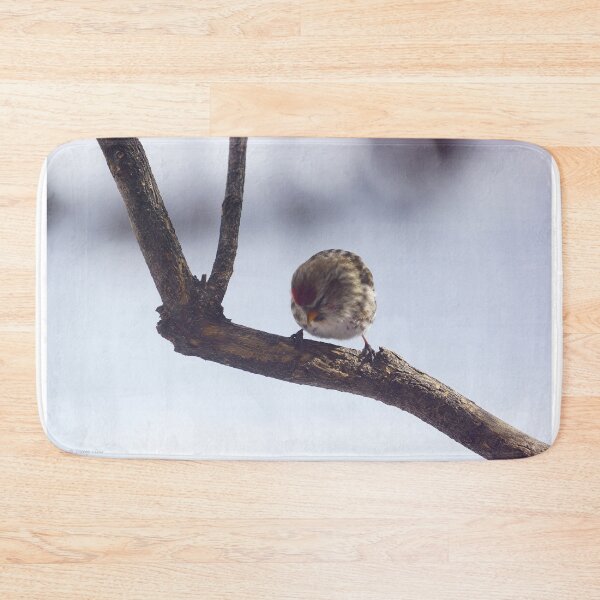 Item preview, Red Pol on a Bare Branch designed and sold by Vivar Photo.