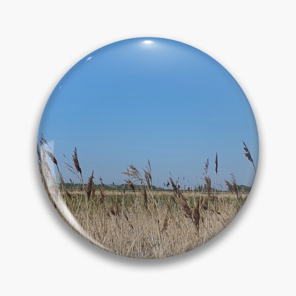 Item preview, Bulrush and blue sky photography designed and sold by s10-Photography.