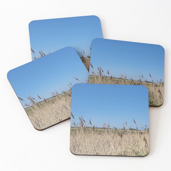 Item preview, Bulrush and blue sky photography designed and sold by s10-Photography.
