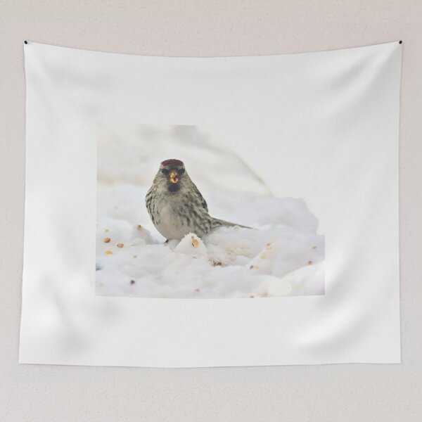 Item preview, Red Pol with Seed designed and sold by Vivar Photo.