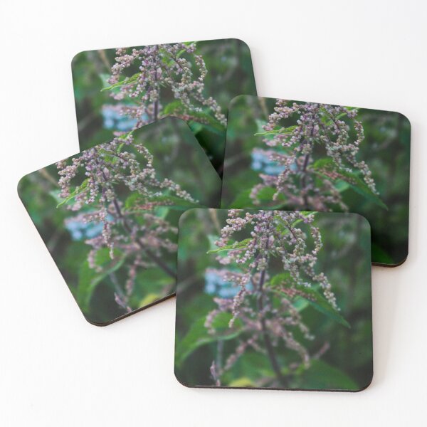 Item preview, Lot of seeds of Urtica dioica designed and sold by Mahirov Shop.
