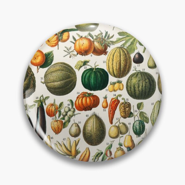 Item preview, Vintage illustration of fruits and vegetables from the book, Nouveau Larousse designed and sold by CrazyCatx.