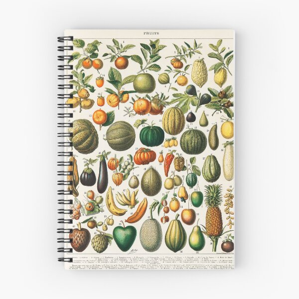 Item preview, Vintage illustration of fruits and vegetables from the book, Nouveau Larousse designed and sold by CrazyCatx.