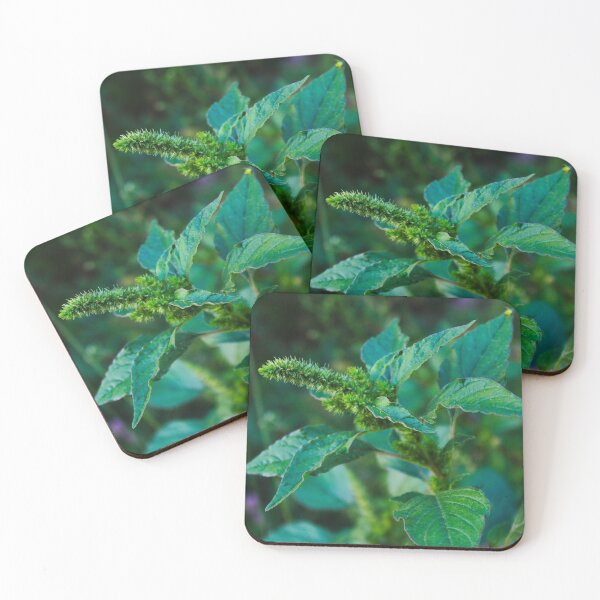 Item preview, Dangerous weed in agriculture designed and sold by Mahirov Shop.