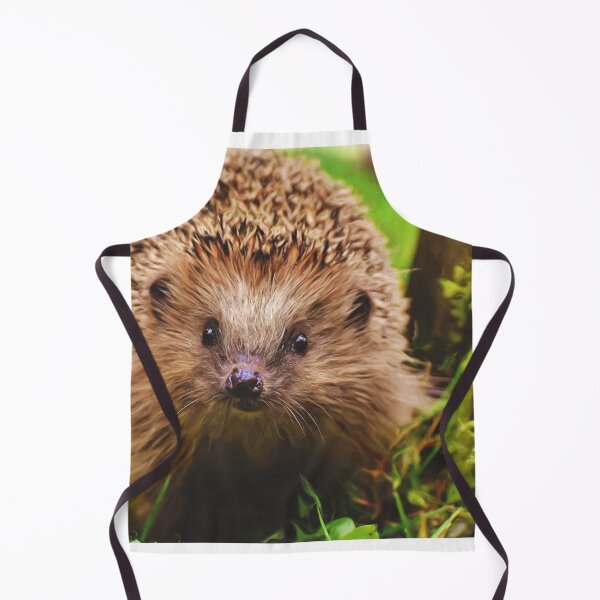 Artikelvorschau, Freundlicher Igel entworfen und verkauft von PET-SHIRTS.
