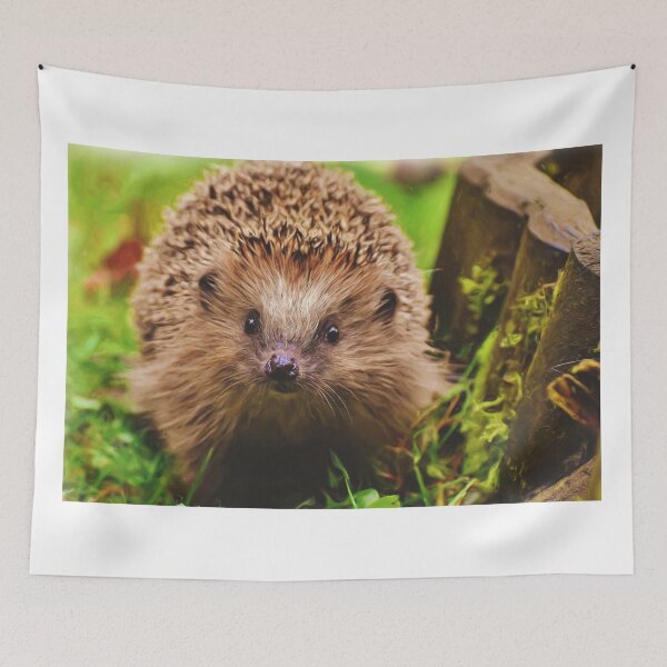 Artikelvorschau, Freundlicher Igel entworfen und verkauft von PET-SHIRTS.