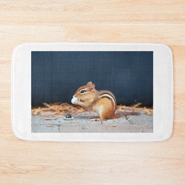Item preview, Squirrel having tea designed and sold by PET-SHIRTS.