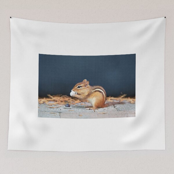 Item preview, Squirrel having tea designed and sold by PET-SHIRTS.
