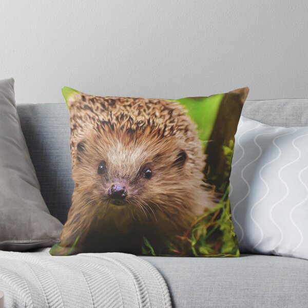 Item preview, Friendly hedgehog designed and sold by PET-SHIRTS.