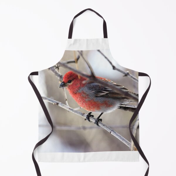 Item preview, Male Pine Grosbeak in the Woods designed and sold by Vivar Photo.