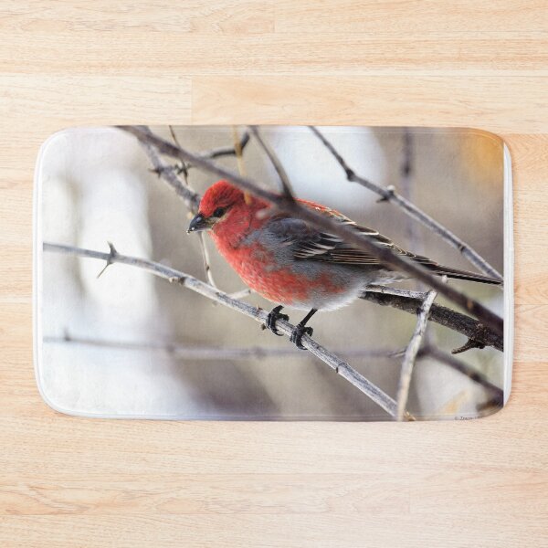 Item preview, Male Pine Grosbeak in the Woods designed and sold by Vivar Photo.