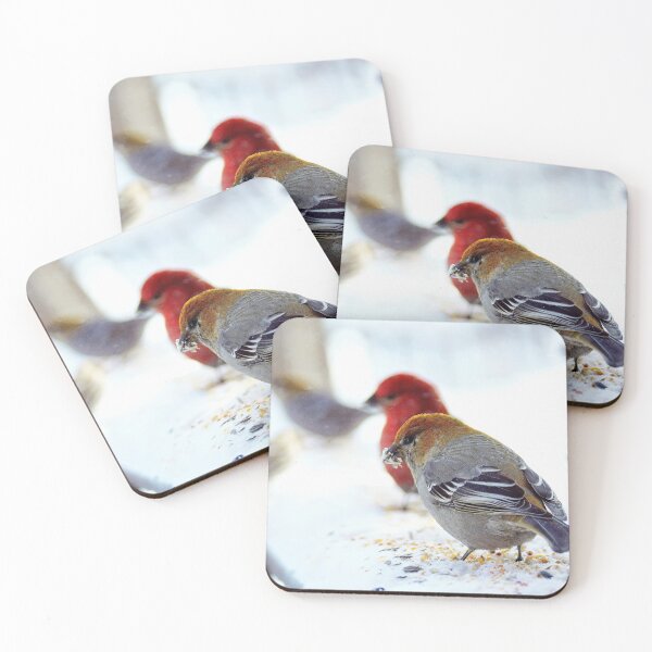 Item preview, Female Pine Grosbeak with Friends designed and sold by Vivar Photo.