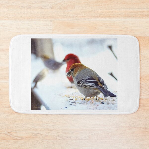 Item preview, Female Pine Grosbeak with Friends designed and sold by Vivar Photo.