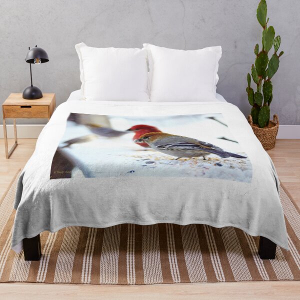 Item preview, Female Pine Grosbeak with Friends designed and sold by Vivar Photo.