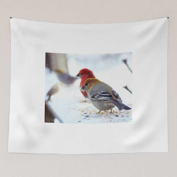 Item preview, Female Pine Grosbeak with Friends designed and sold by Vivar Photo.