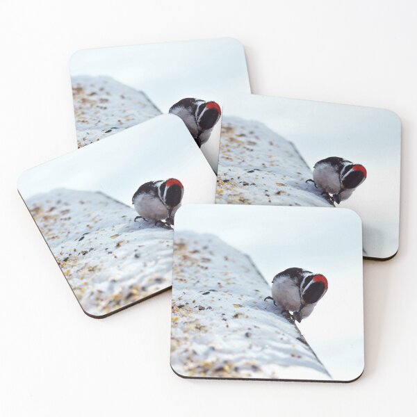 Item preview, Little Woodpecker Living on the Edge designed and sold by Vivar Photo.