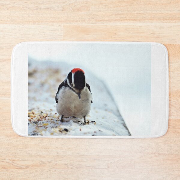 Item preview, Woodpecker Pondering designed and sold by Vivar Photo.