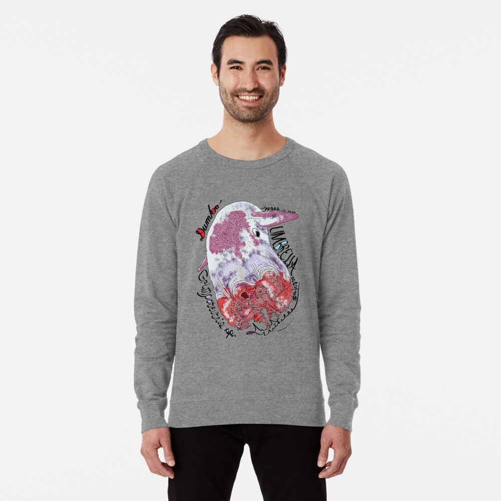 dumbo sweatshirt