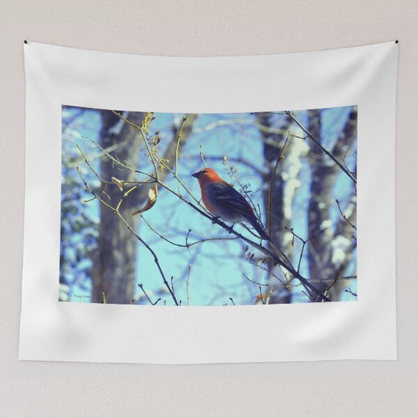 Item preview, Male Pine Grosbeak Against a Blue Sky designed and sold by Vivar Photo.