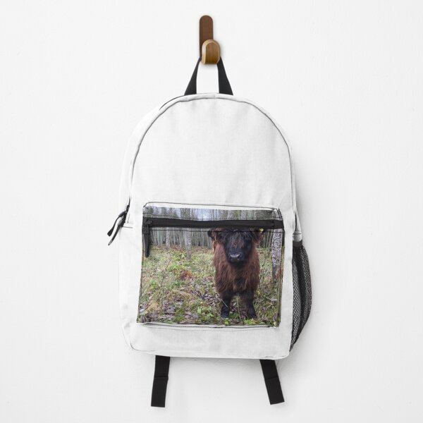 Item preview, Scottish Highland Cattle Calf 2588 designed and sold by SaarelaHighland.