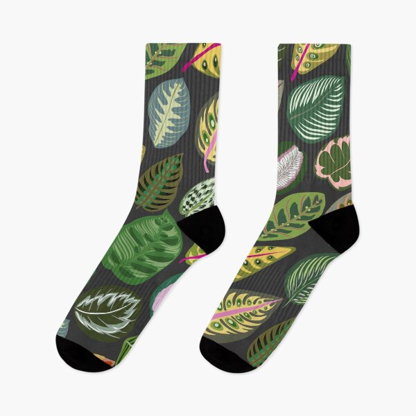 Item preview, Prayer Plant Calathea Leaves P1 designed and sold by NOTSNIW ART.