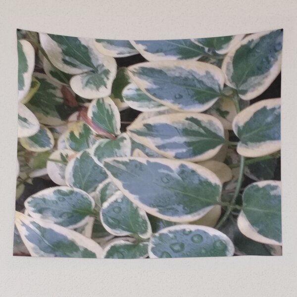 Item preview, Rainy green and yellow leaves designed and sold by danaJG.