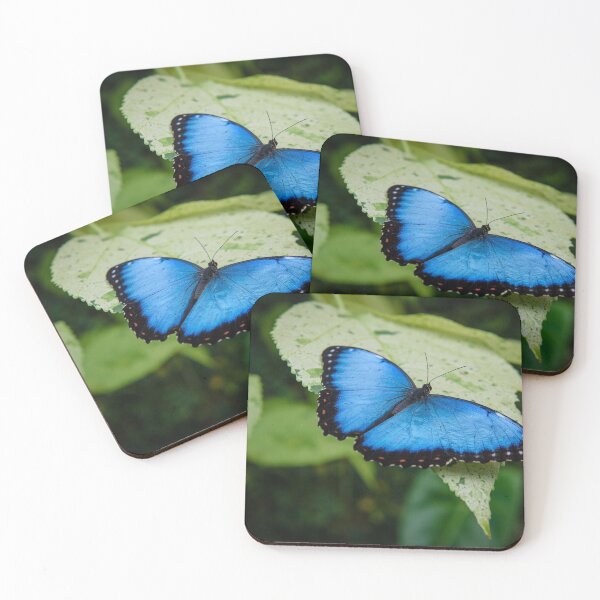 Item preview, Beautiful Blue Butterfly designed and sold by newburyboutique.