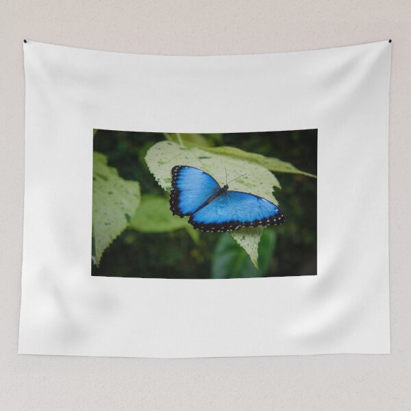 Item preview, Beautiful Blue Butterfly designed and sold by newburyboutique.