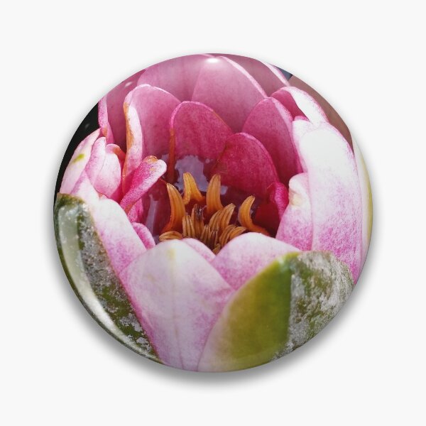 Item preview, Water Lily Bud (Photography: Unfiltered) designed and sold by Lori Ackley.