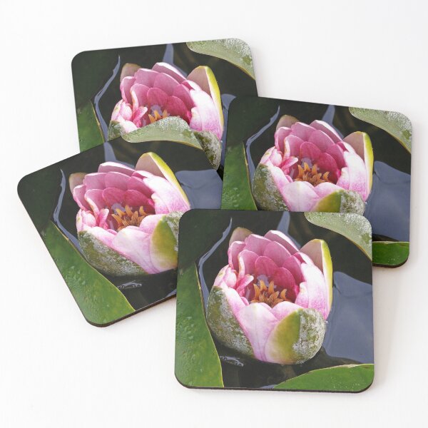 Item preview, Water Lily Bud (Photography: Unfiltered) designed and sold by Lori Ackley.