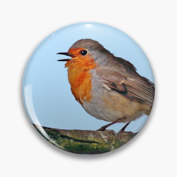 Item preview, Robin designed and sold by BryanDevon.