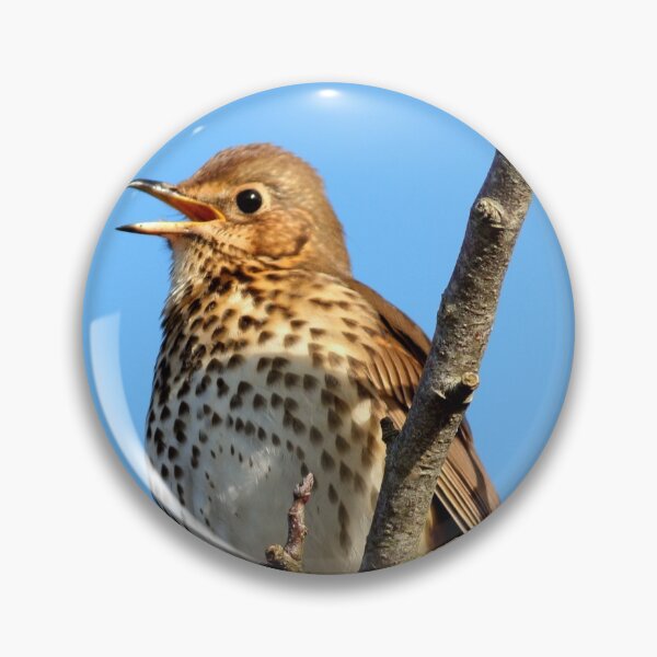 Item preview, Song Thrush designed and sold by BryanDevon.