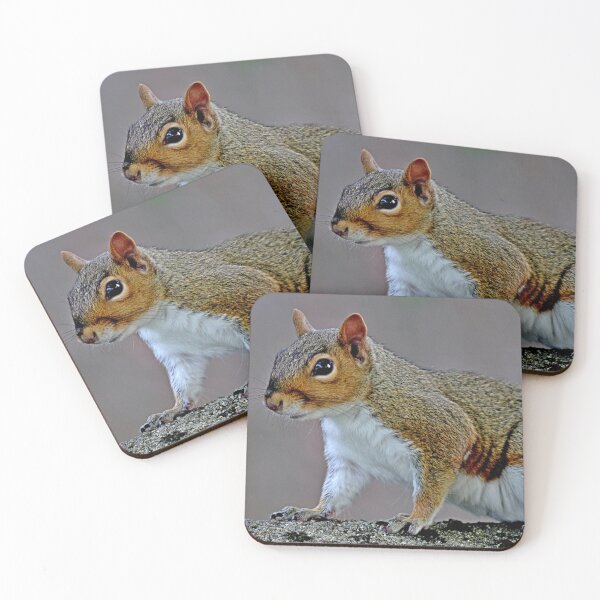 Item preview, Grey Squirrel in a tree designed and sold by BryanDevon.