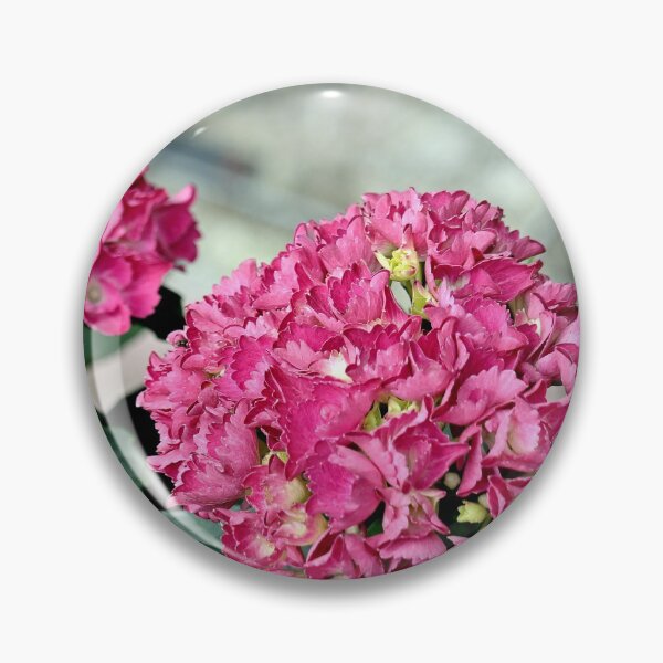 Item preview, Hydrangea, pink blooms designed and sold by BryanDevon.