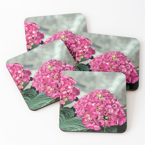 Item preview, Hydrangea, pink blooms designed and sold by BryanDevon.