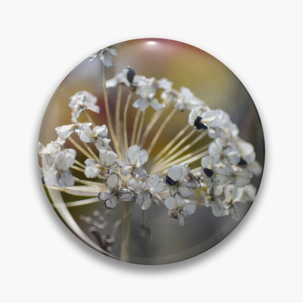 Item preview, Dried allium in an urban environment designed and sold by silverwheelarts.