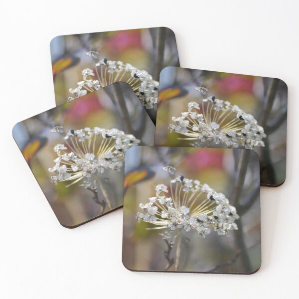 Item preview, Dried allium in an urban environment designed and sold by silverwheelarts.